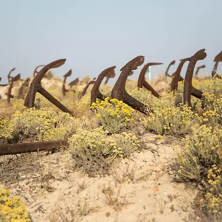 House Pedras D'el Rei Santa Luzia (Tavira)